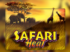 Safari Heat